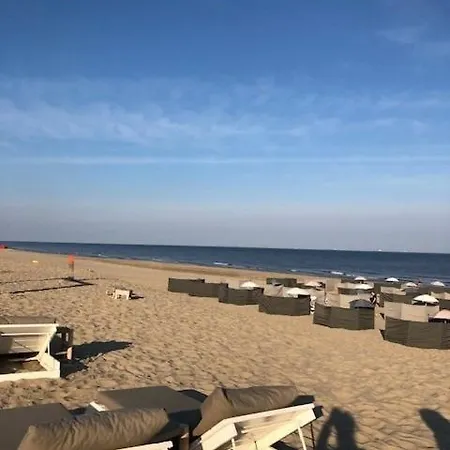 Have A Stay! - Duinloft 150 M From The Lejlighed *