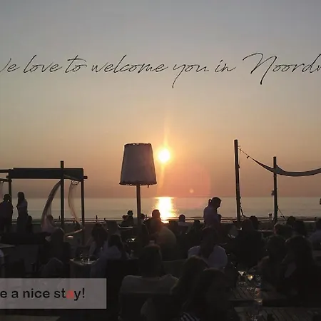 Have A Stay! - Duinloft 150 M From The *