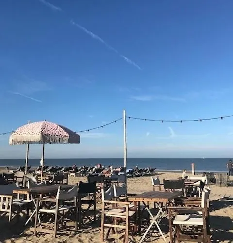 Have A Stay! - Duinloft 150 M From The *