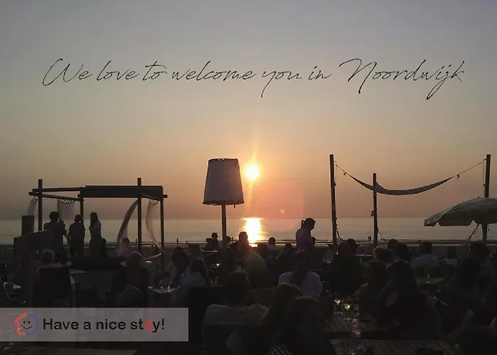 Have A Stay! - Duinloft 150 M From The *