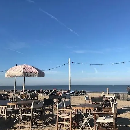 Have A Stay! - Duinloft 150 M From The *